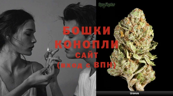 каннабис Аркадак